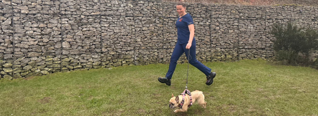 specialist services - boas