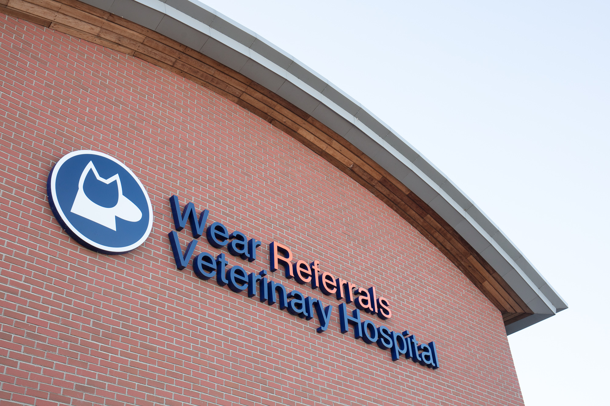 5 years since the opening of the Oncology Service at Wear Referrals