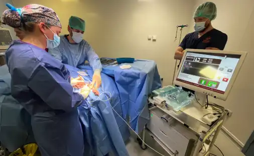 Introducing Intraoperative Electrochemotherapy at Wear Referrals!